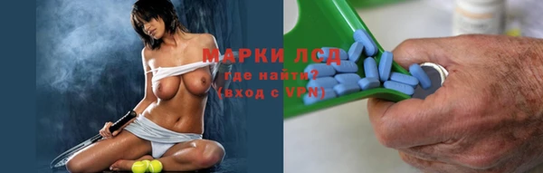 ПСИЛОЦИБИНОВЫЕ ГРИБЫ Абаза