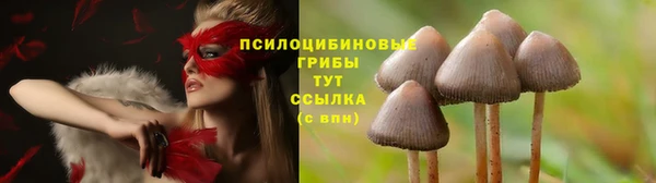 соль курить ск Абинск