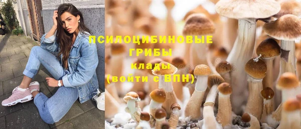ПСИЛОЦИБИНОВЫЕ ГРИБЫ Абаза