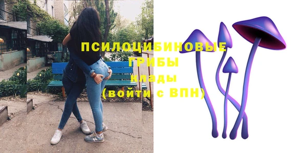 ПСИЛОЦИБИНОВЫЕ ГРИБЫ Абаза