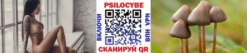 наркошоп  Нариманов  Галлюциногенные грибы Psilocybe 